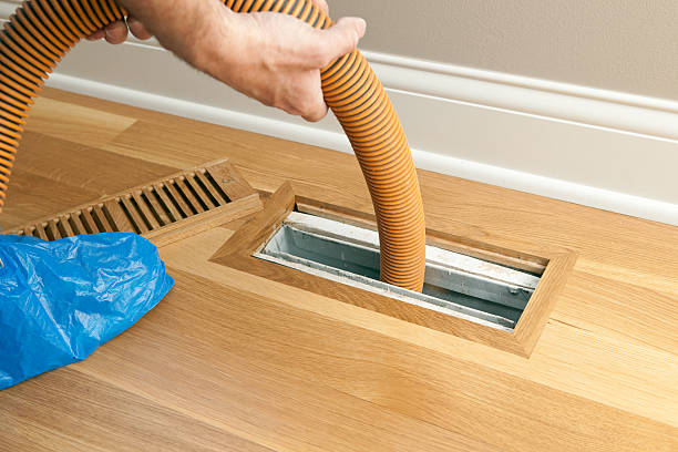 Best Affordable Duct Cleaning Services  in Cutler Bay, FL