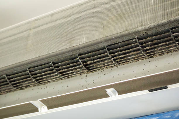 Best Best Air Duct Cleaning Company  in Cutler Bay, FL